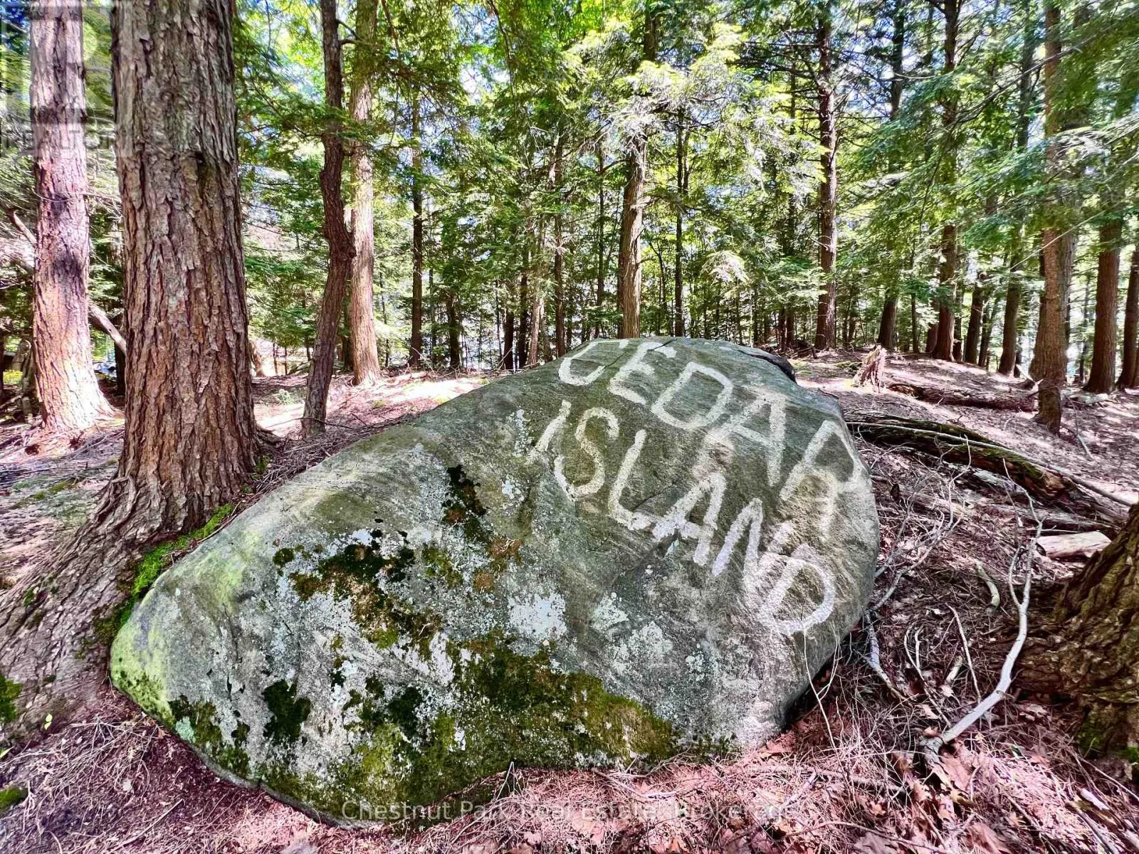 1 CEDAR ISLAND