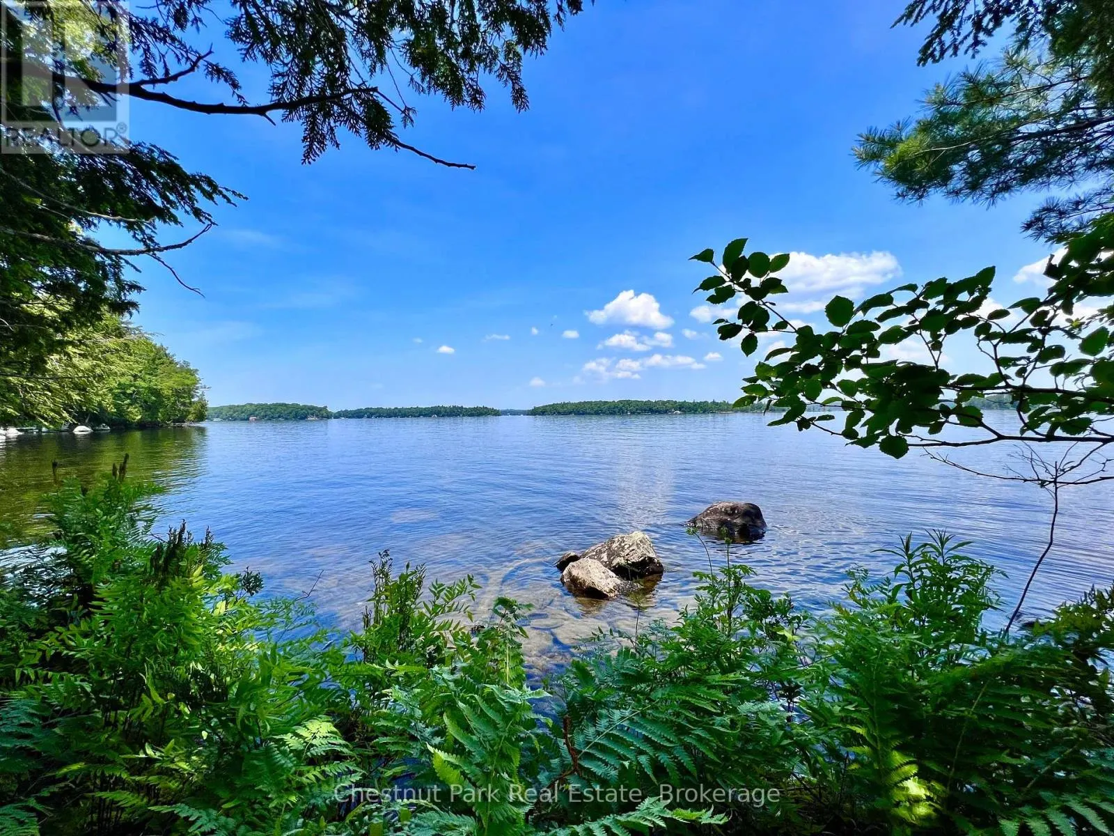 1 CEDAR ISLAND