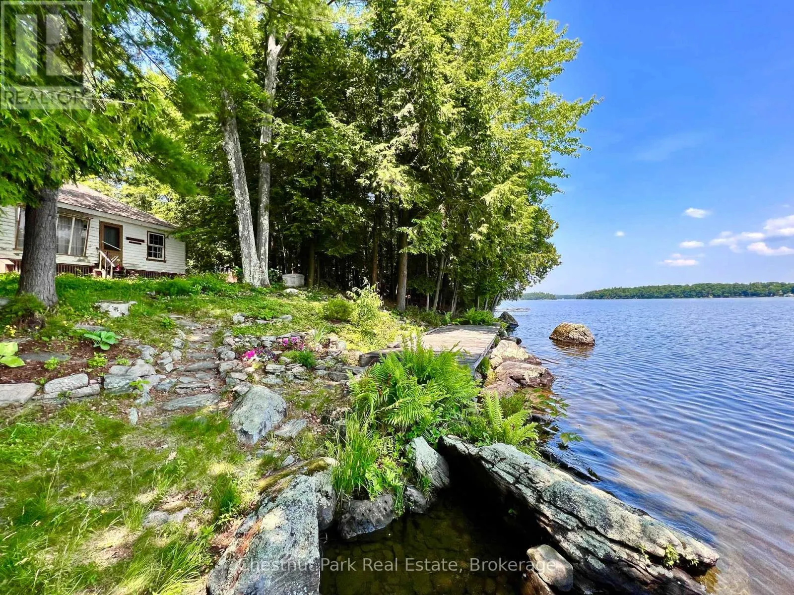 1 CEDAR ISLAND