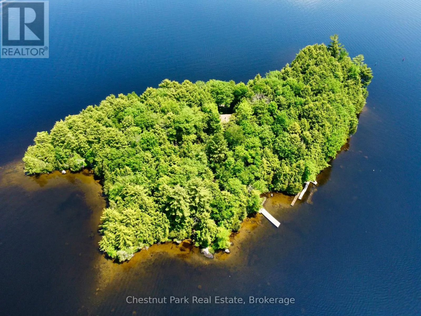 1 CEDAR ISLAND