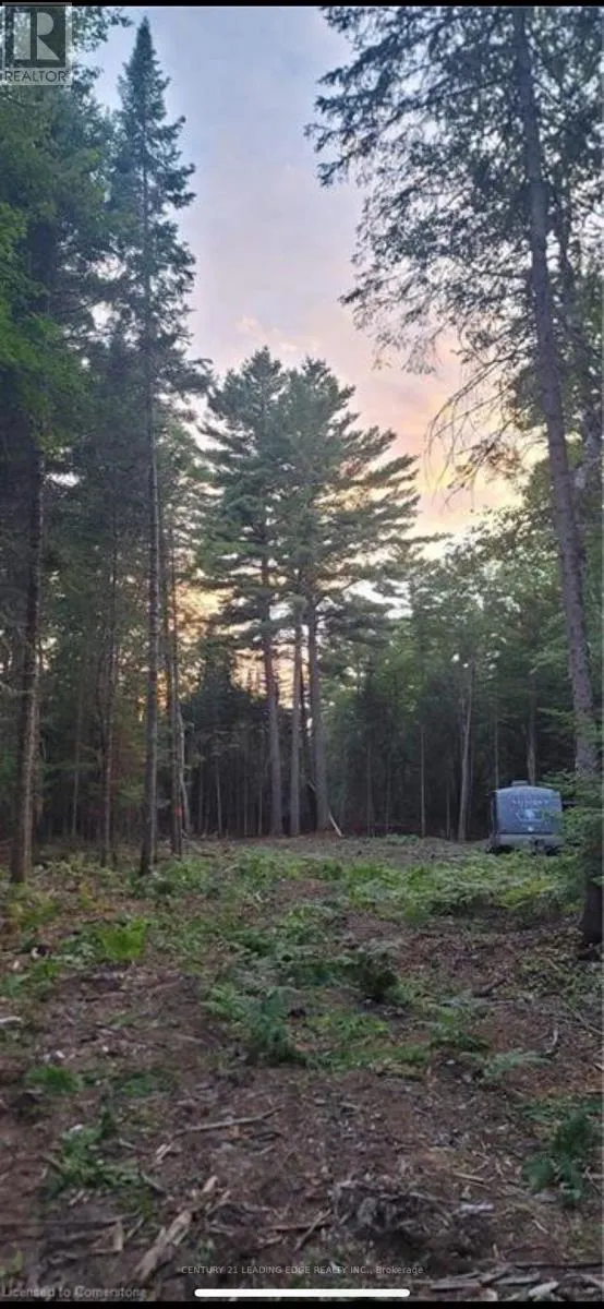 NA DWIGHT BEACH ROAD