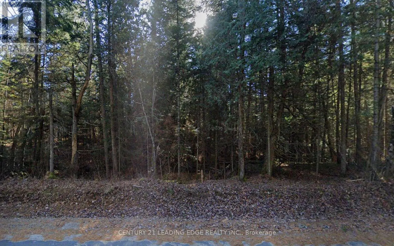 NA DWIGHT BEACH ROAD
