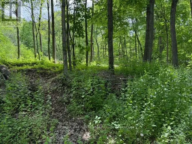 325 CEDAR SANDS ROAD