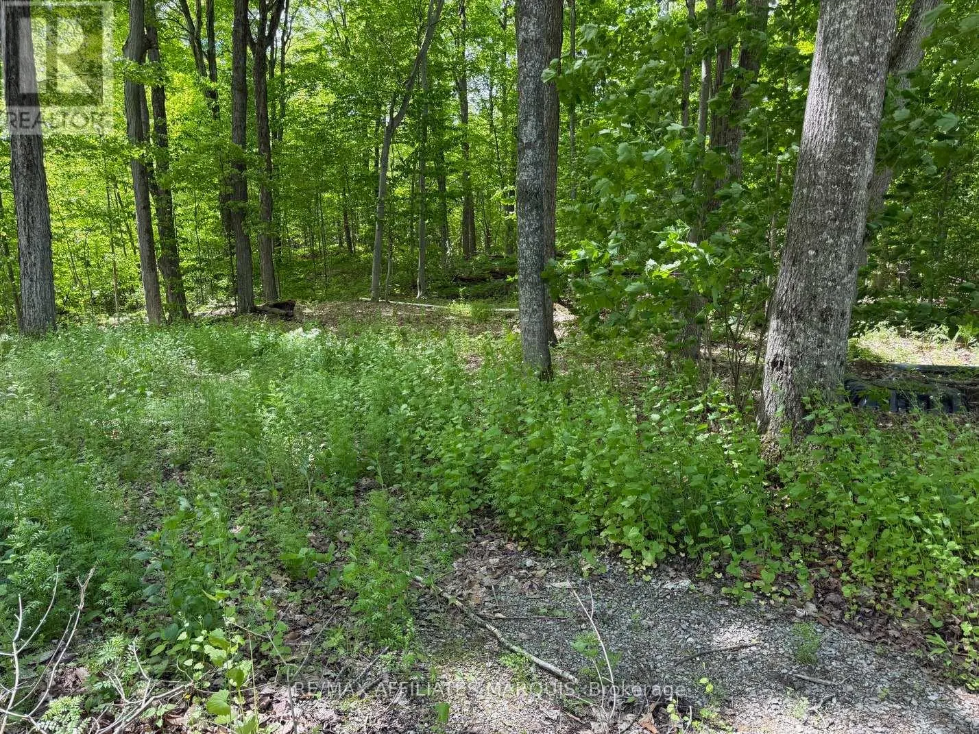 325 CEDAR SANDS ROAD