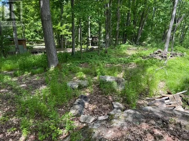 325 CEDAR SANDS ROAD