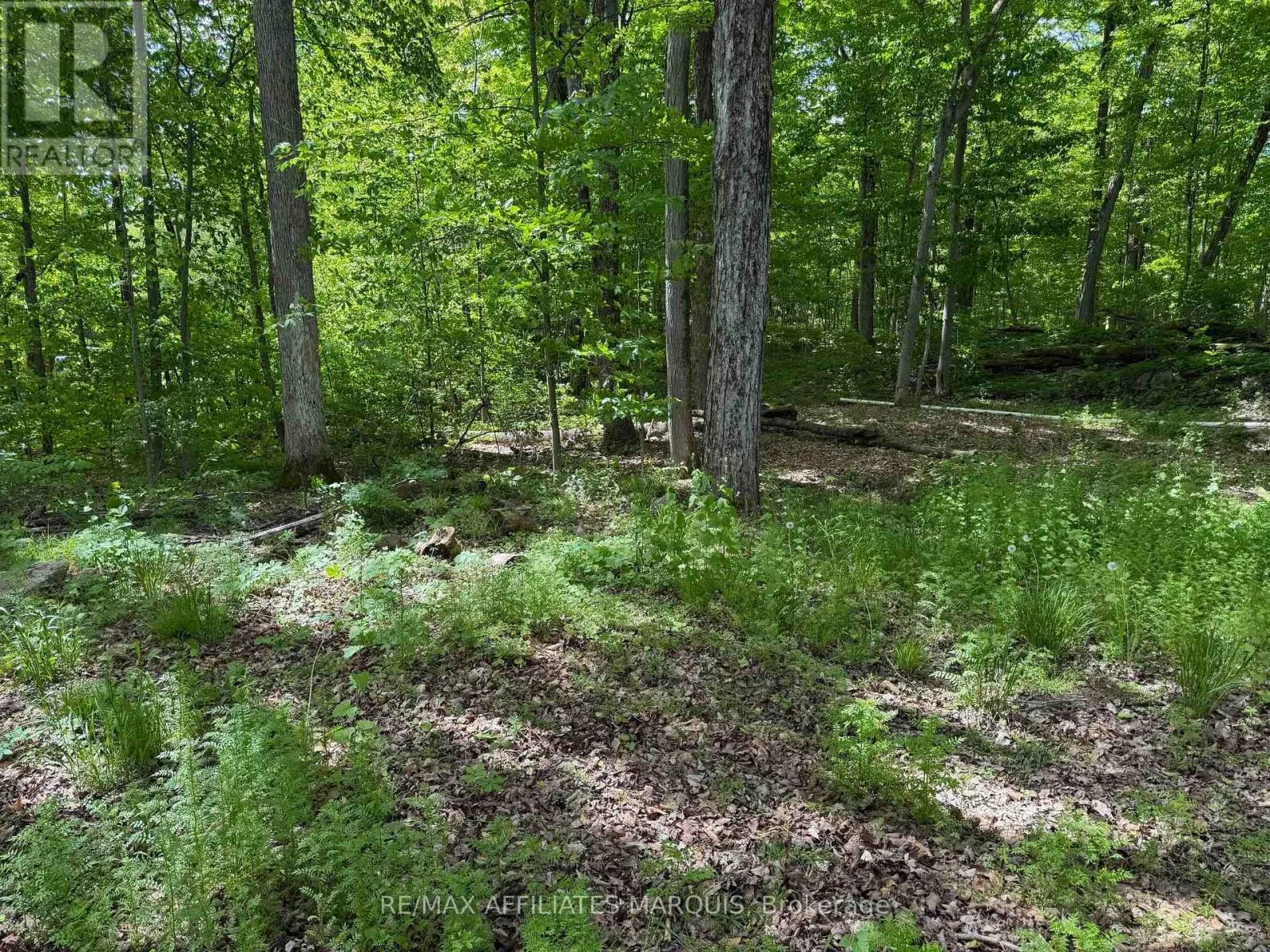 325 CEDAR SANDS ROAD
