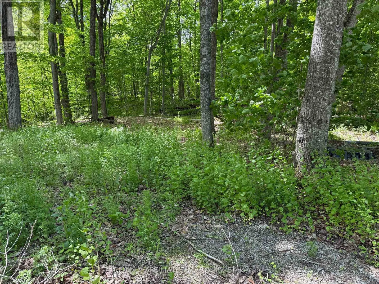 325 CEDAR SANDS ROAD