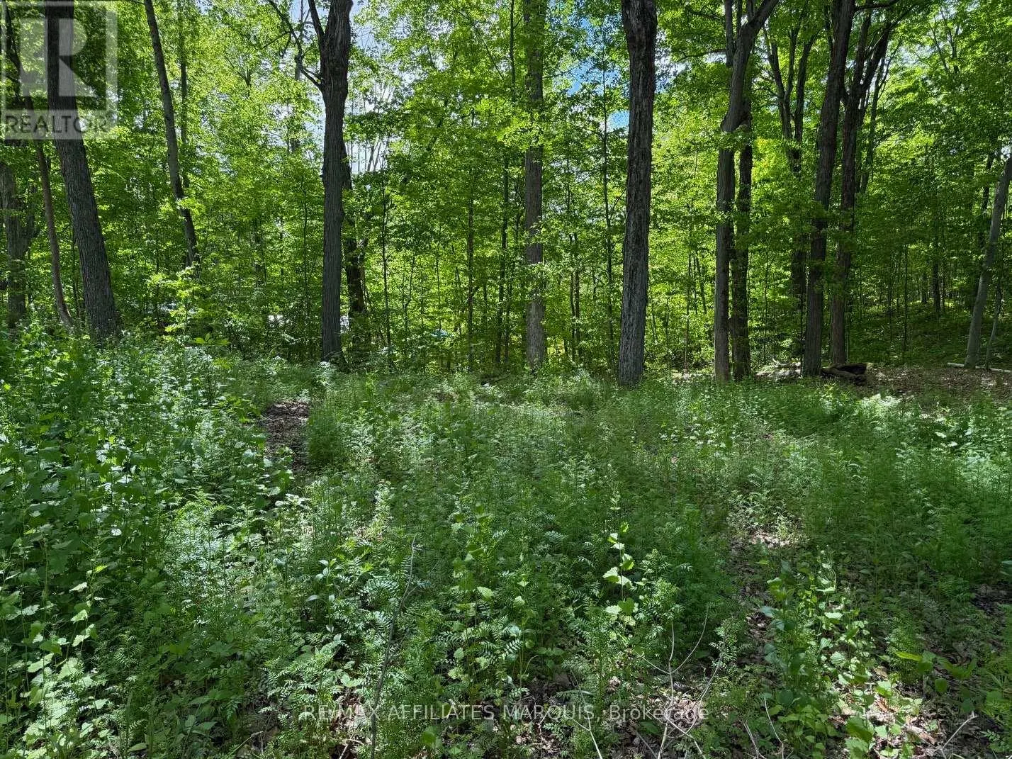 325 CEDAR SANDS ROAD
