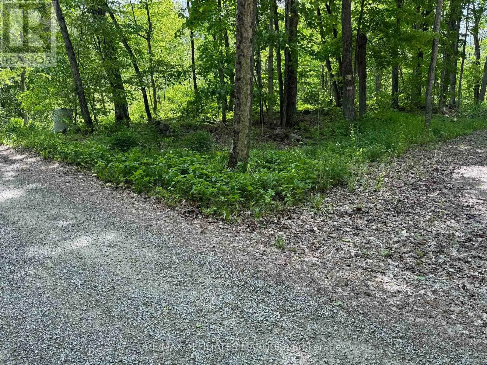 325 CEDAR SANDS ROAD