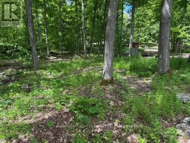 325 CEDAR SANDS ROAD