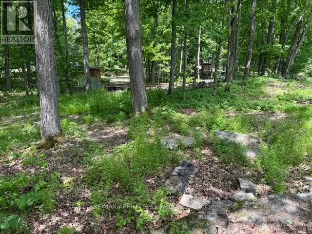 325 CEDAR SANDS ROAD