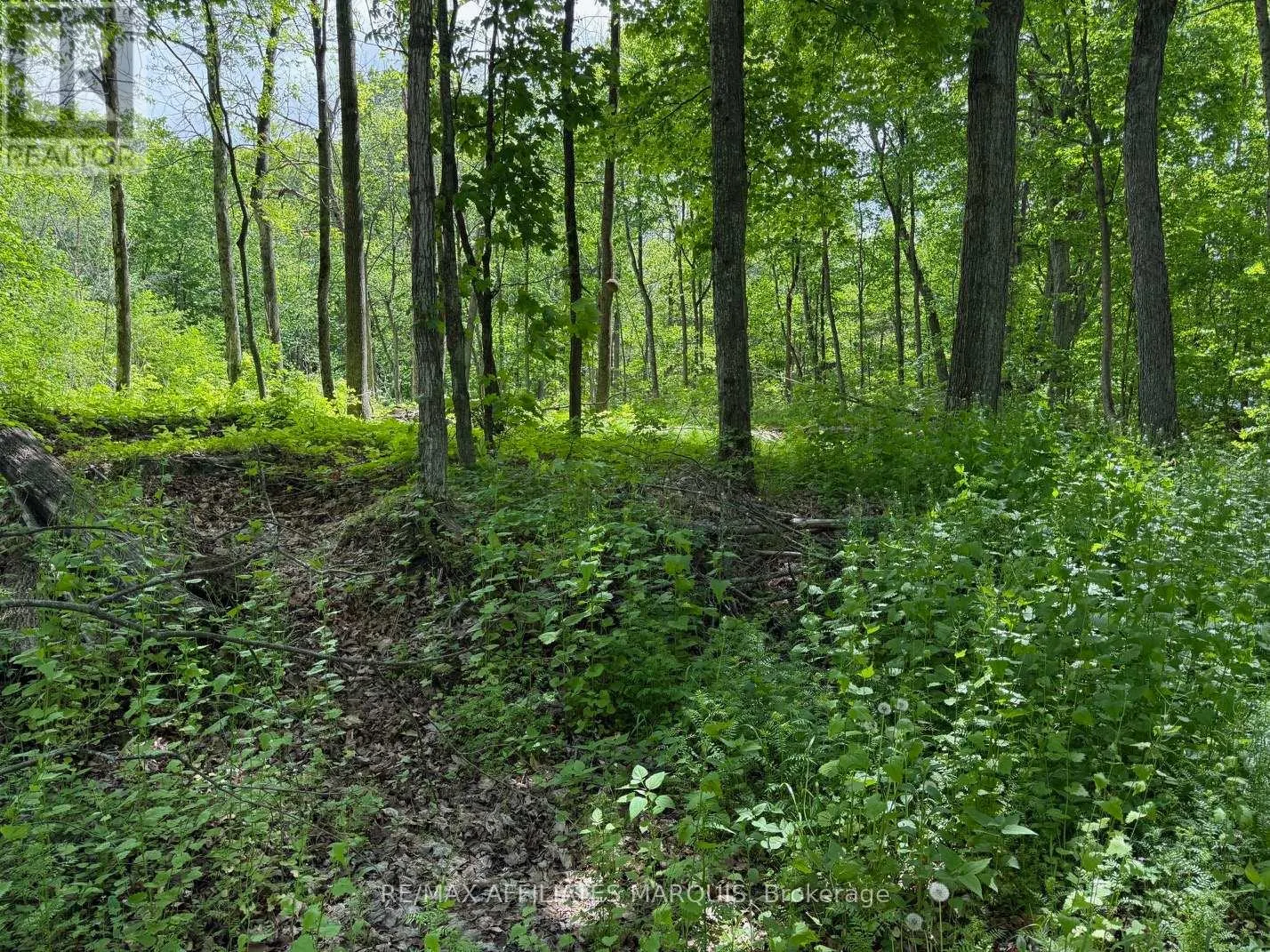 325 CEDAR SANDS ROAD