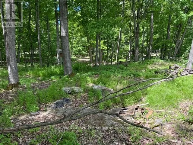 325 CEDAR SANDS ROAD