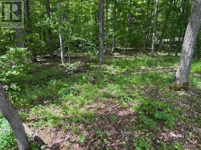 325 CEDAR SANDS ROAD