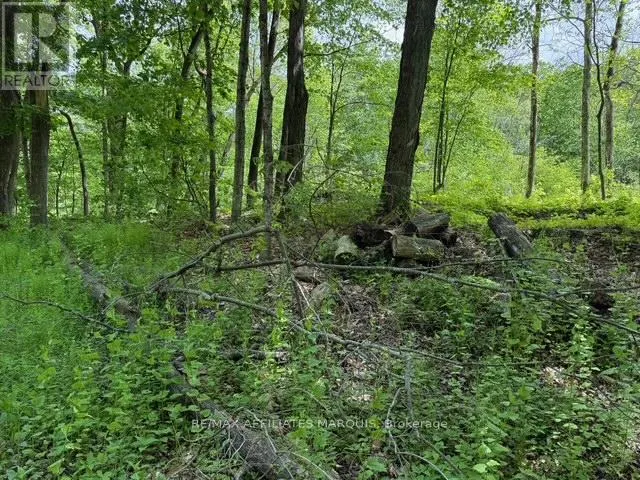 325 CEDAR SANDS ROAD