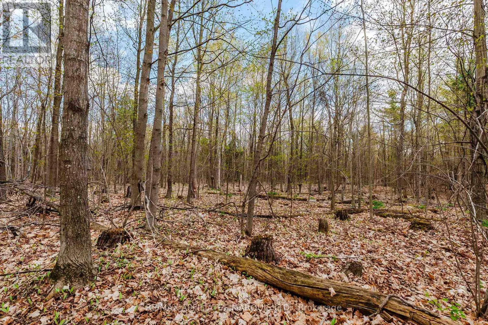 00000 BEAVER BROOK ROAD