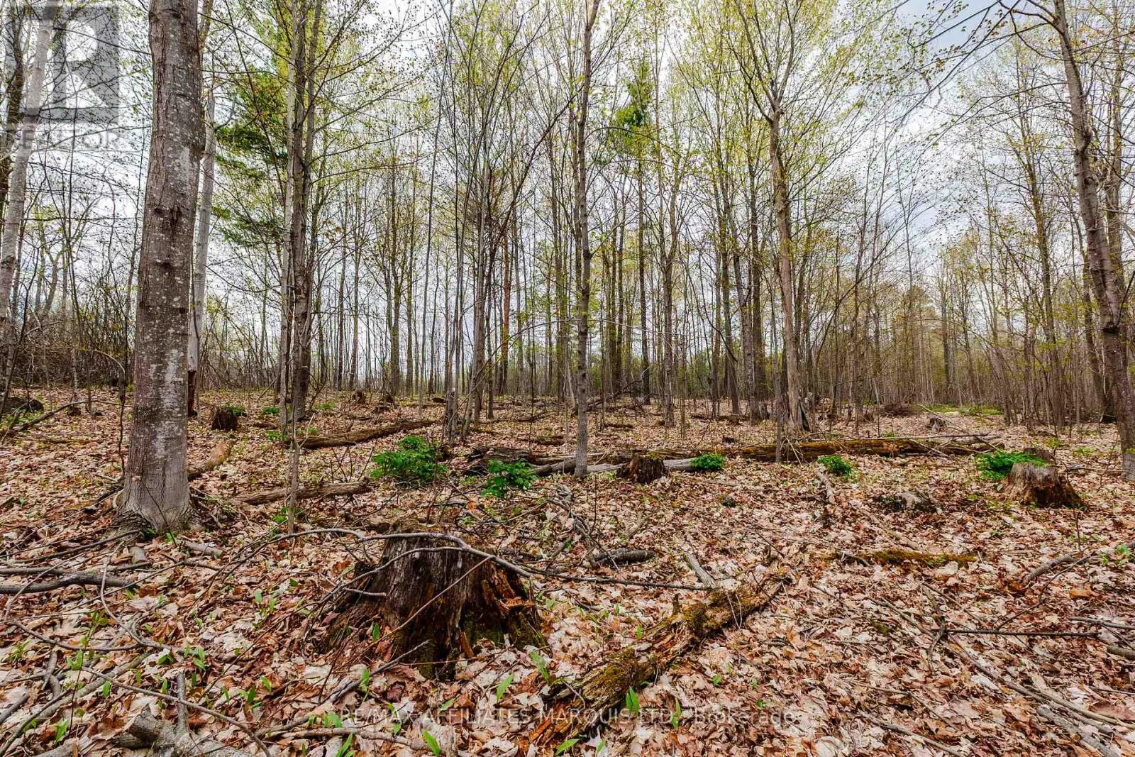 00000 BEAVER BROOK ROAD