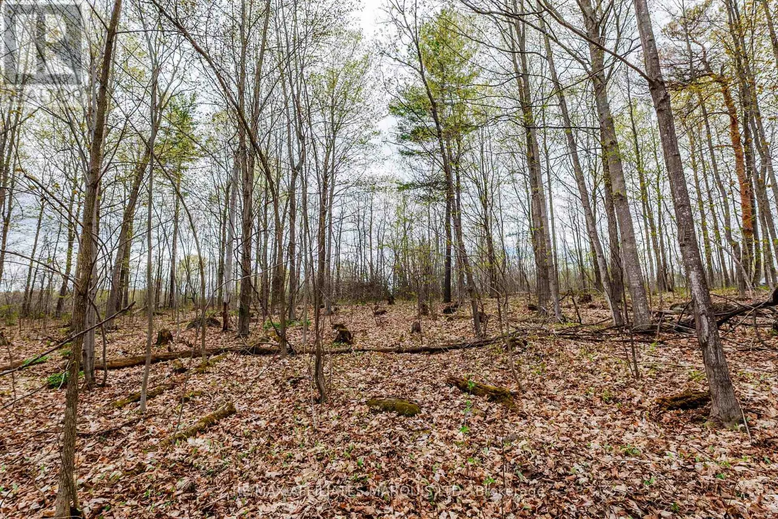 00000 BEAVER BROOK ROAD