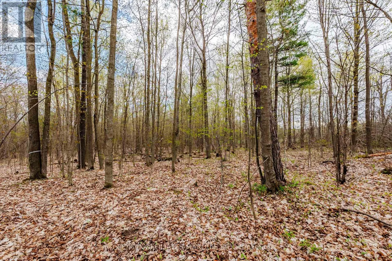 00000 BEAVER BROOK ROAD