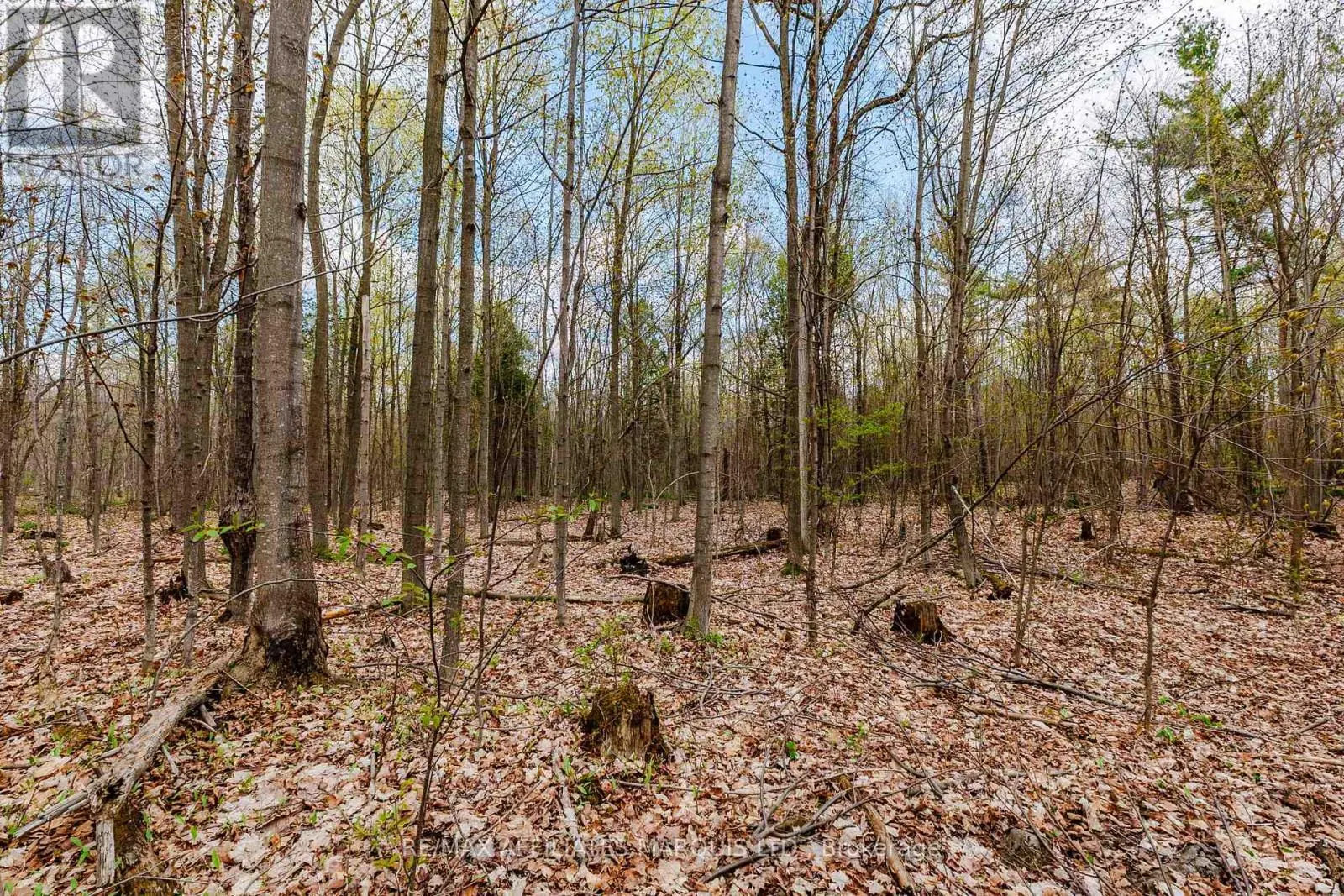 00000 BEAVER BROOK ROAD