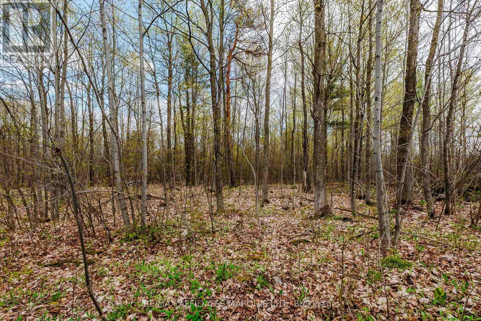 00000 BEAVER BROOK ROAD