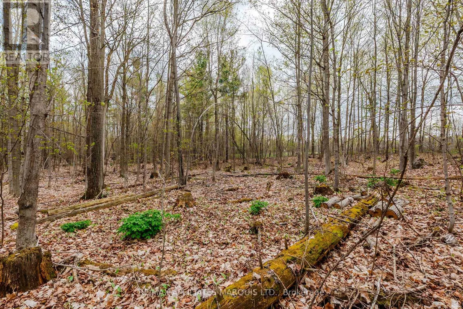 00000 BEAVER BROOK ROAD