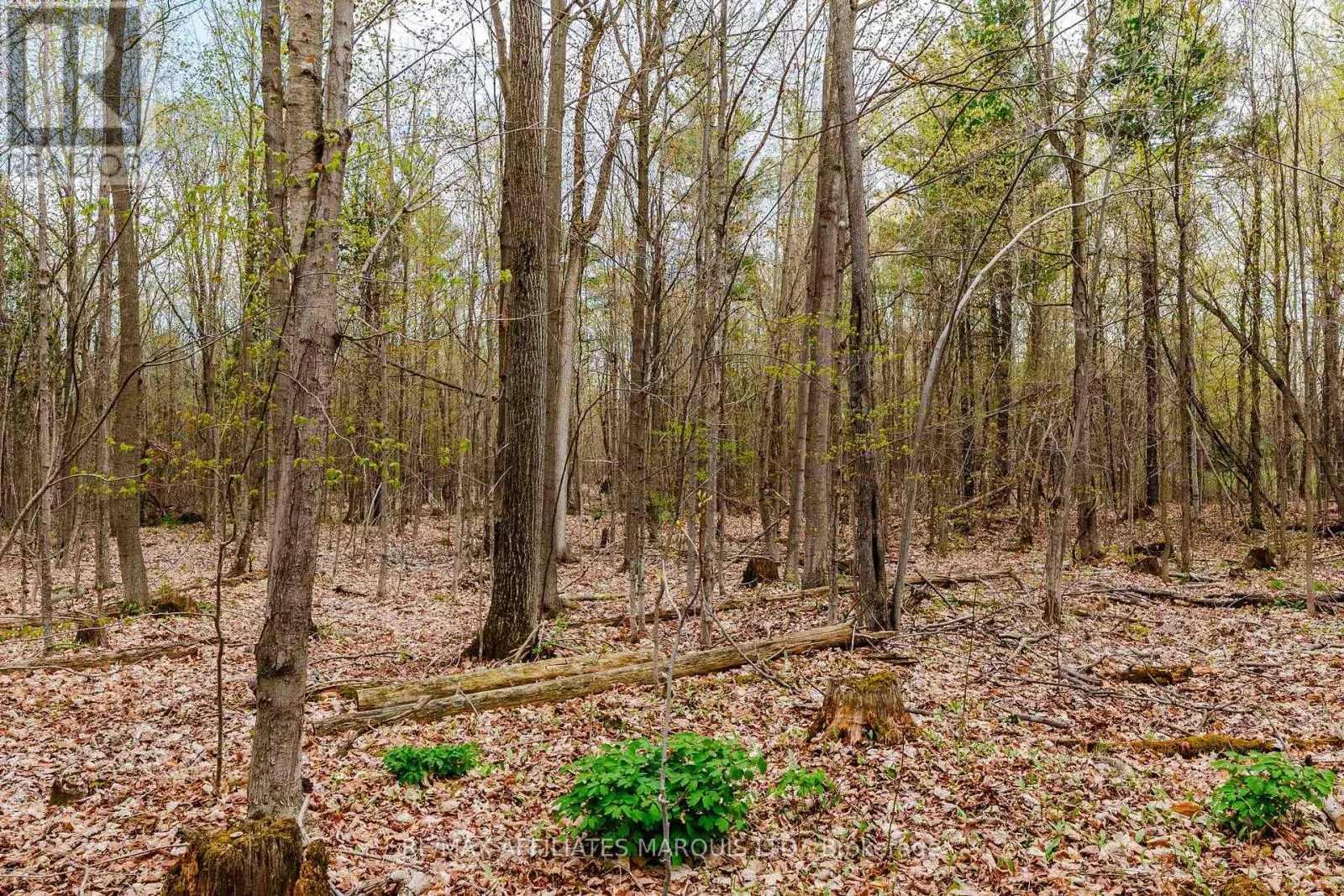 00000 BEAVER BROOK ROAD