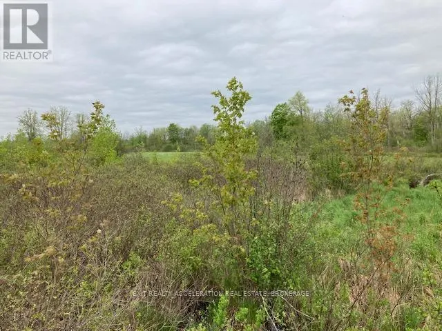0 9TH CONCESSION ROAD