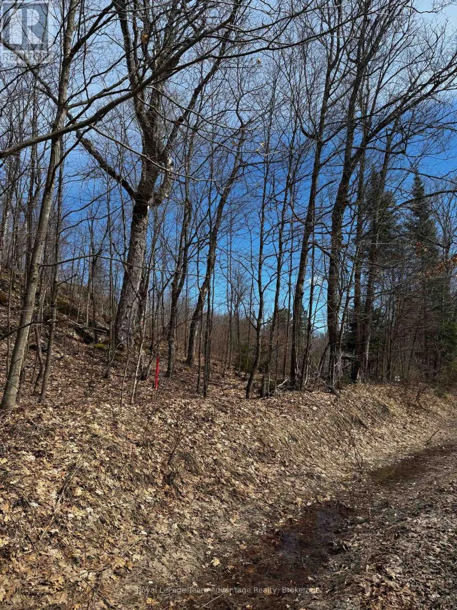 LOT 1 LORIMER LAKE ROAD