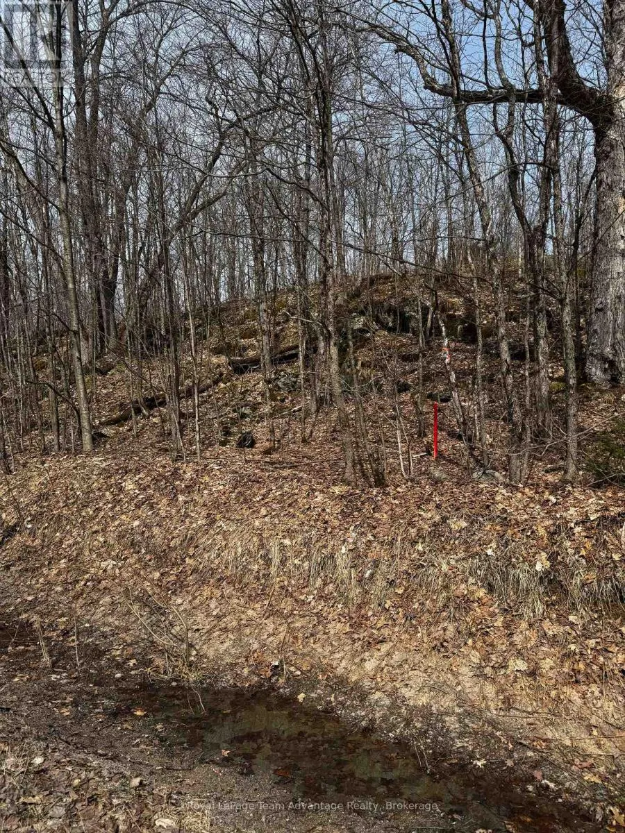 LOT 1 LORIMER LAKE ROAD
