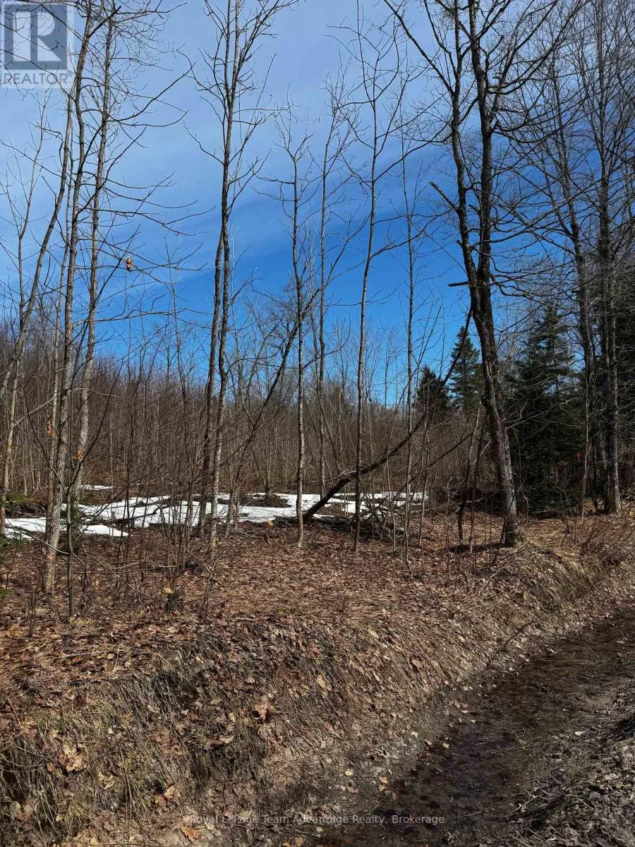 LOT 1 LORIMER LAKE ROAD