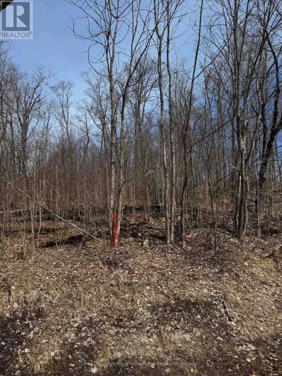 LOT 1 LORIMER LAKE ROAD