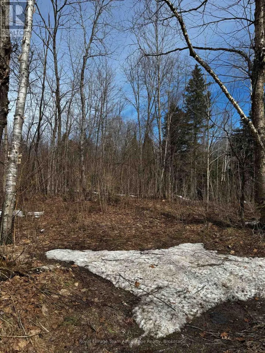 LOT 1 LORIMER LAKE ROAD
