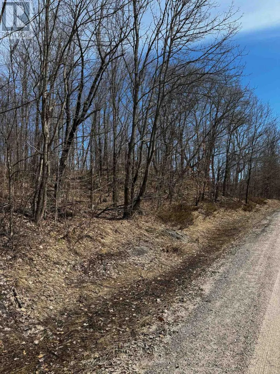 LOT 1 LORIMER LAKE ROAD