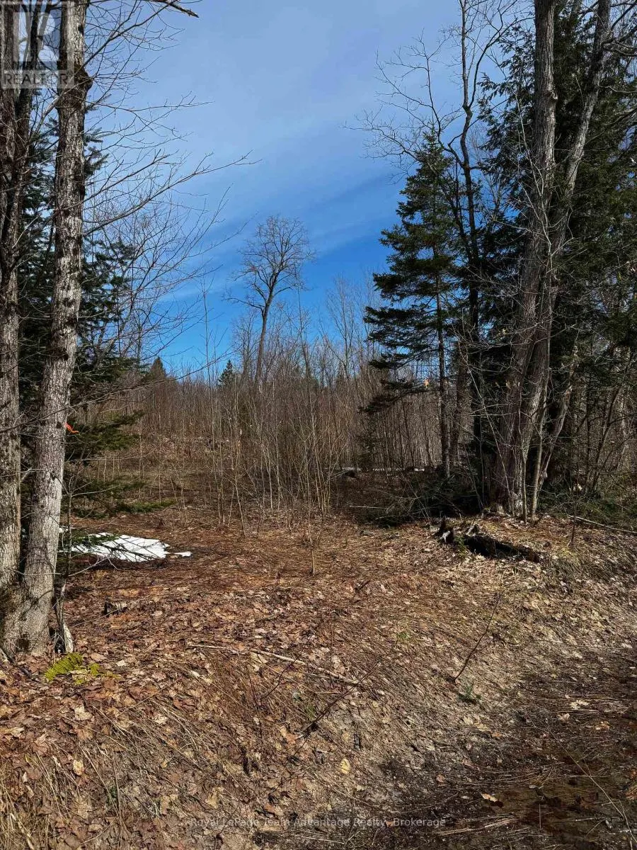 LOT 3 LORIMER LAKE ROAD