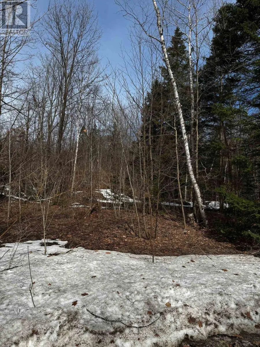 LOT 3 LORIMER LAKE ROAD