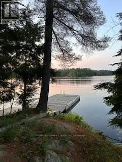 431 HEALEY LAKE WATER