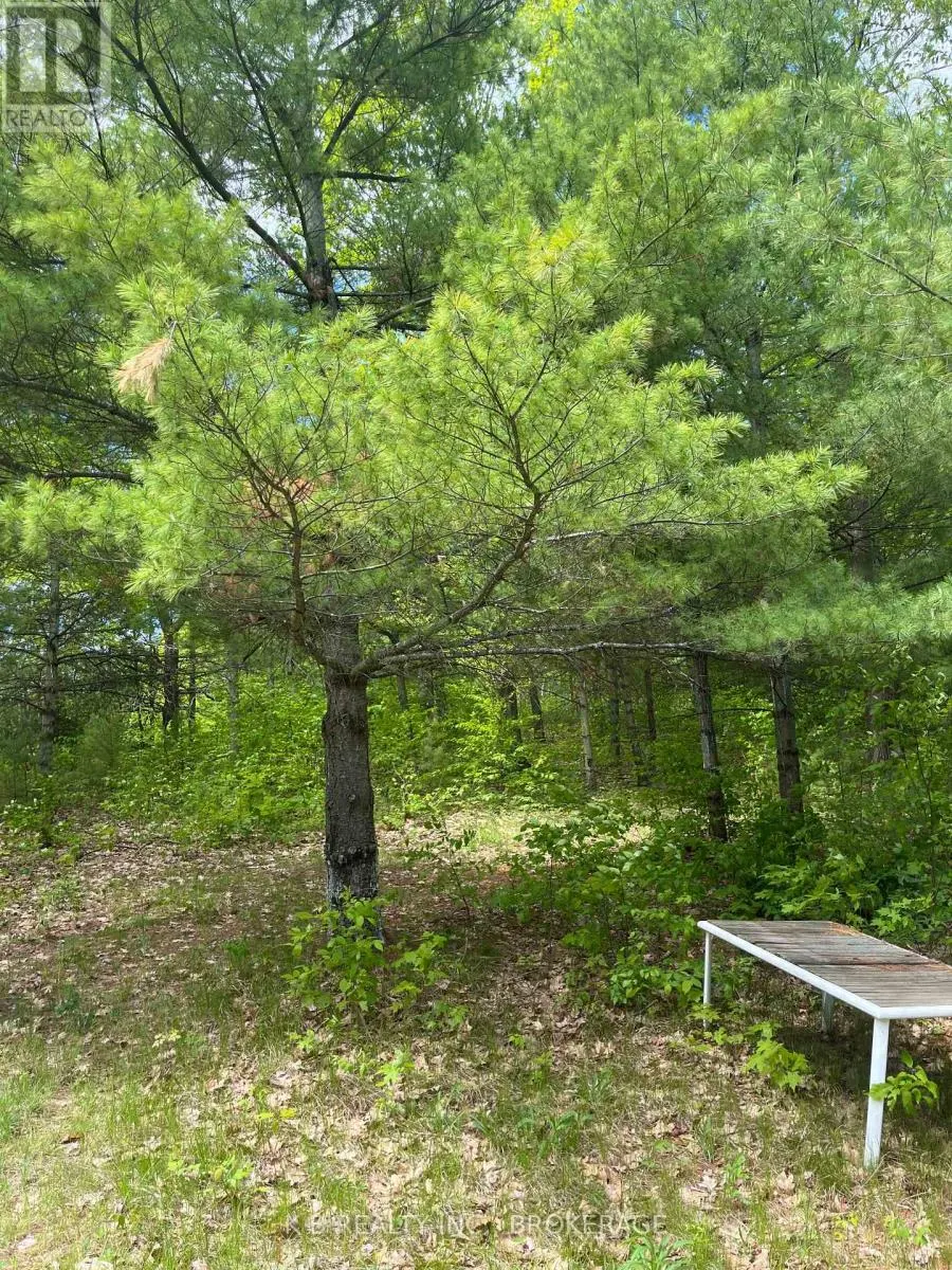 2970 MOUNTAIN ROAD