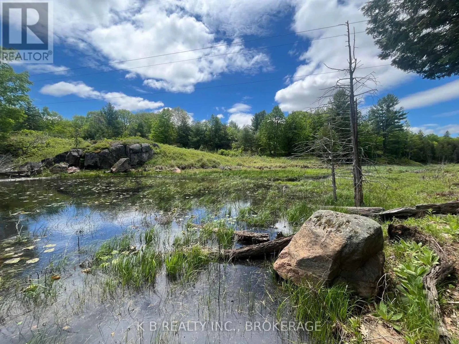 2970 MOUNTAIN ROAD