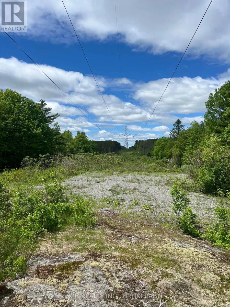 2970 MOUNTAIN ROAD