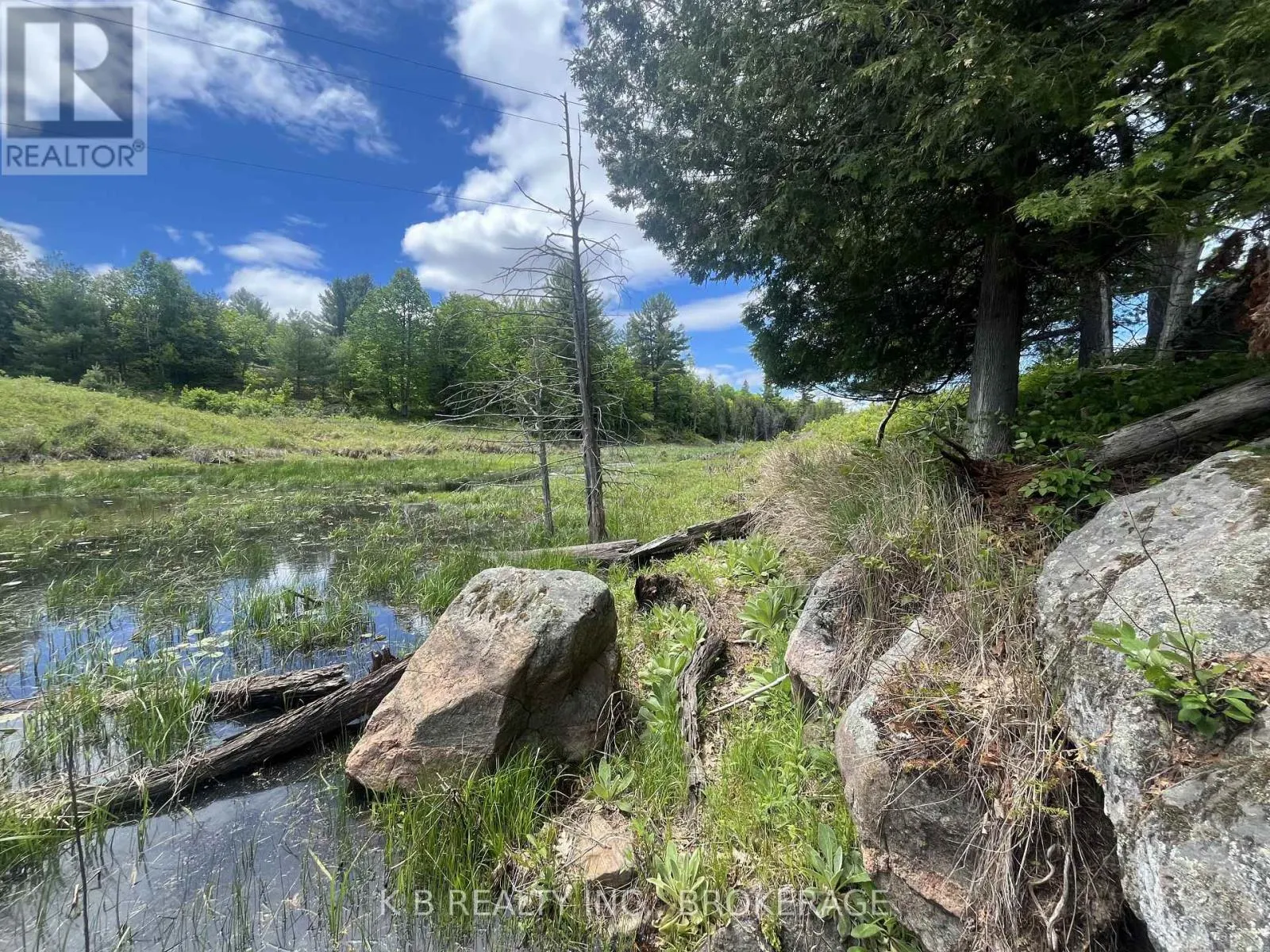 2970 MOUNTAIN ROAD