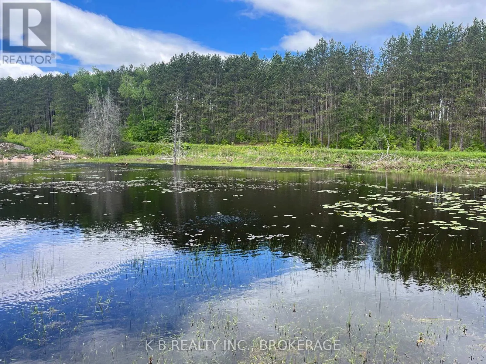 2970 MOUNTAIN ROAD