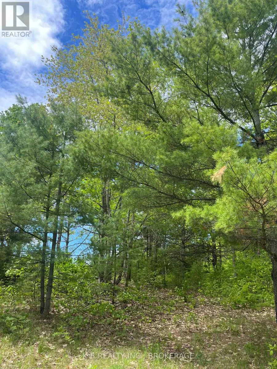 2970 MOUNTAIN ROAD
