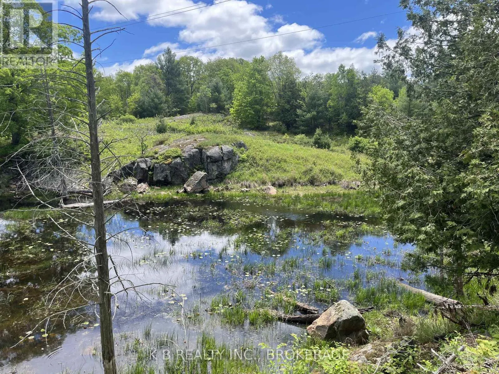 2970 MOUNTAIN ROAD
