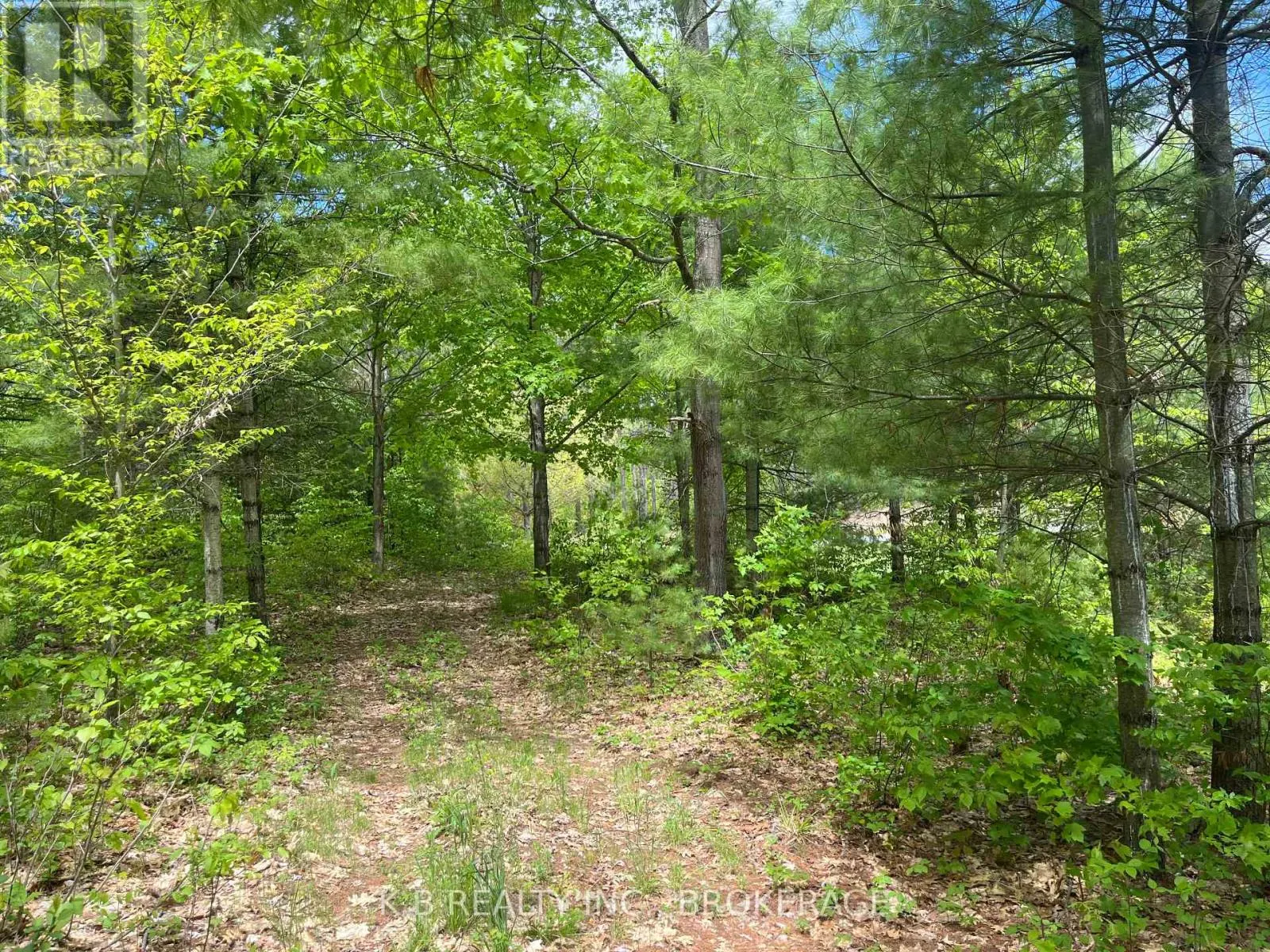 2970 MOUNTAIN ROAD
