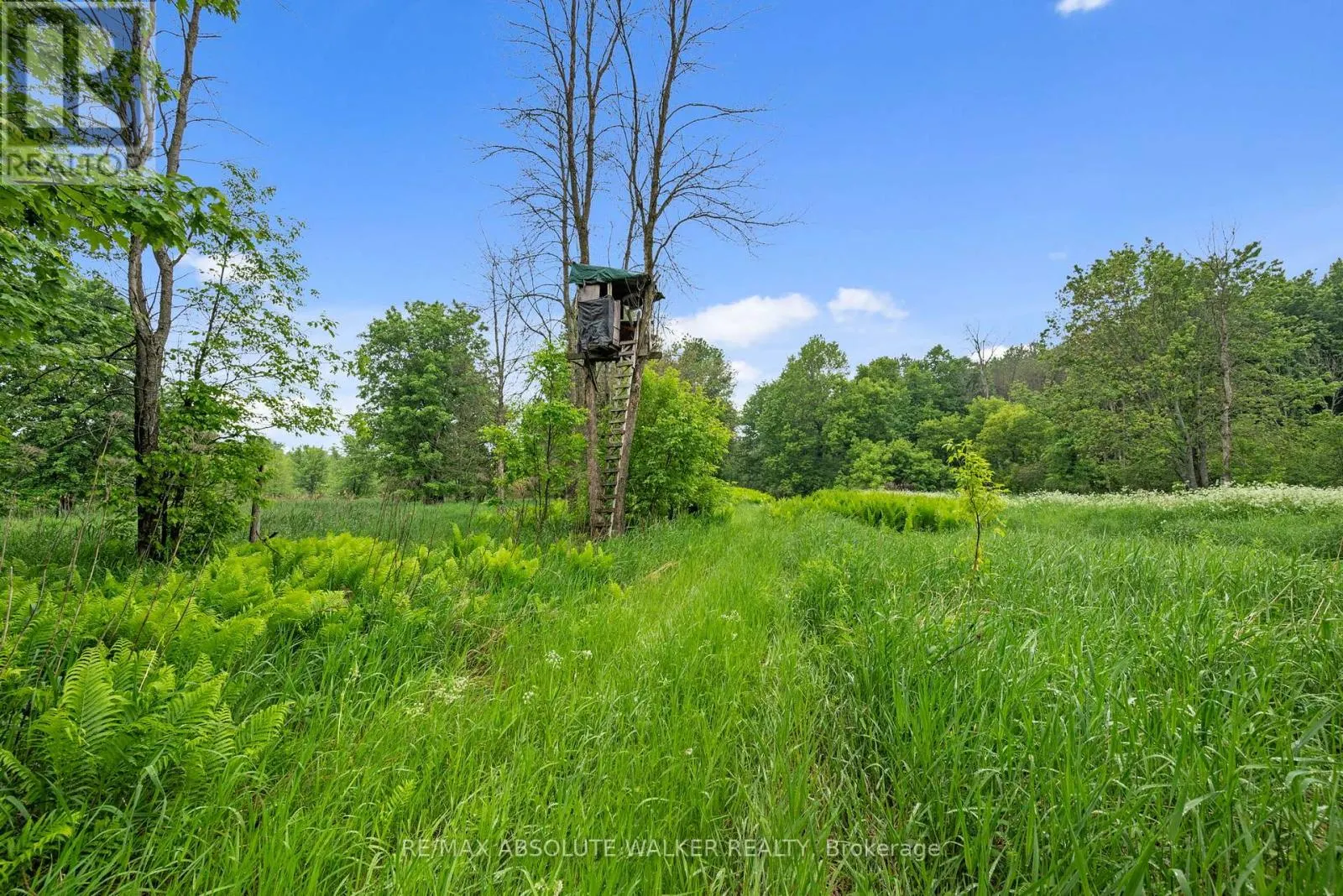 18668 KENYON CONCESSION 2 ROAD