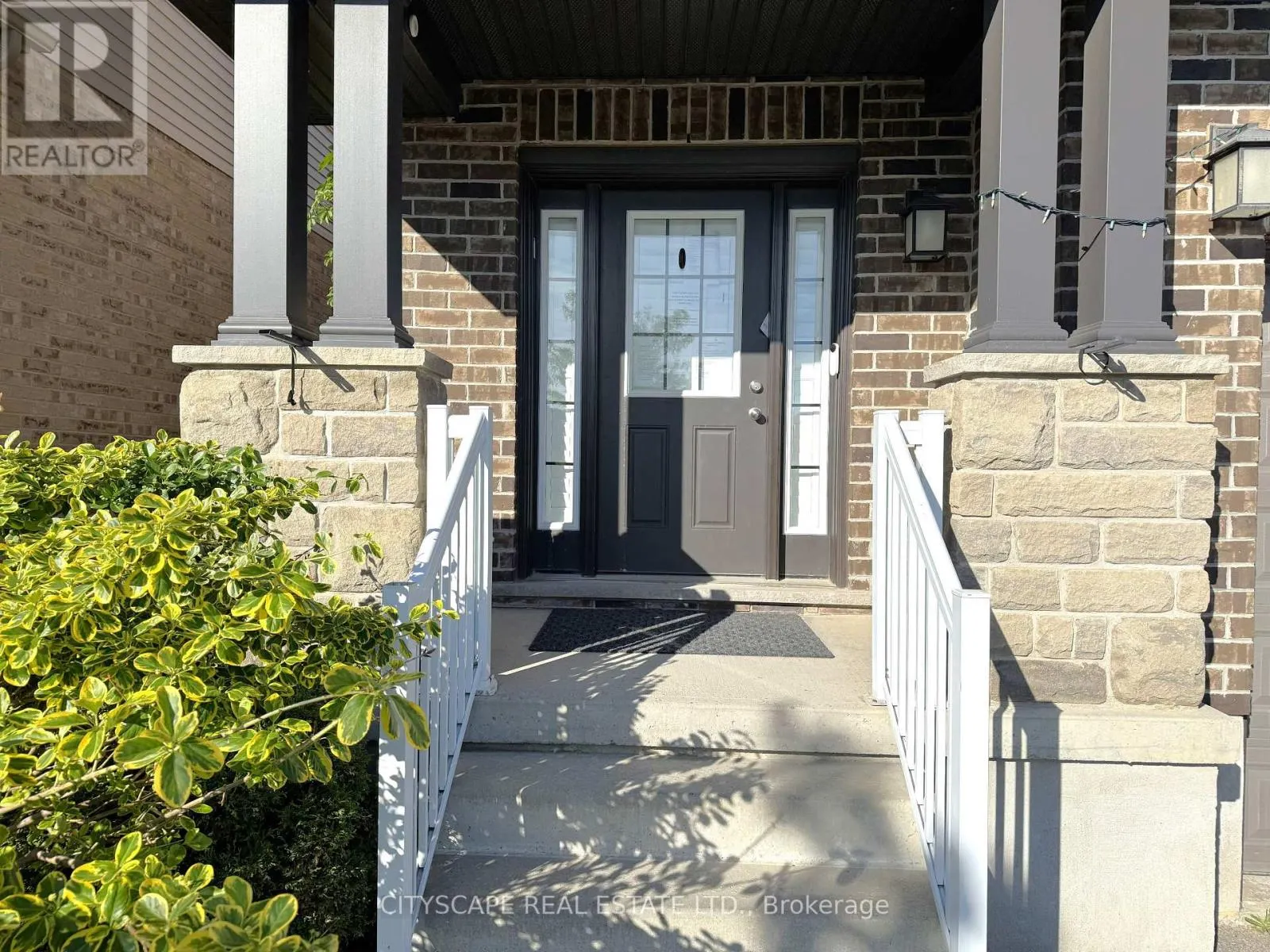541 SUNDEW DRIVE