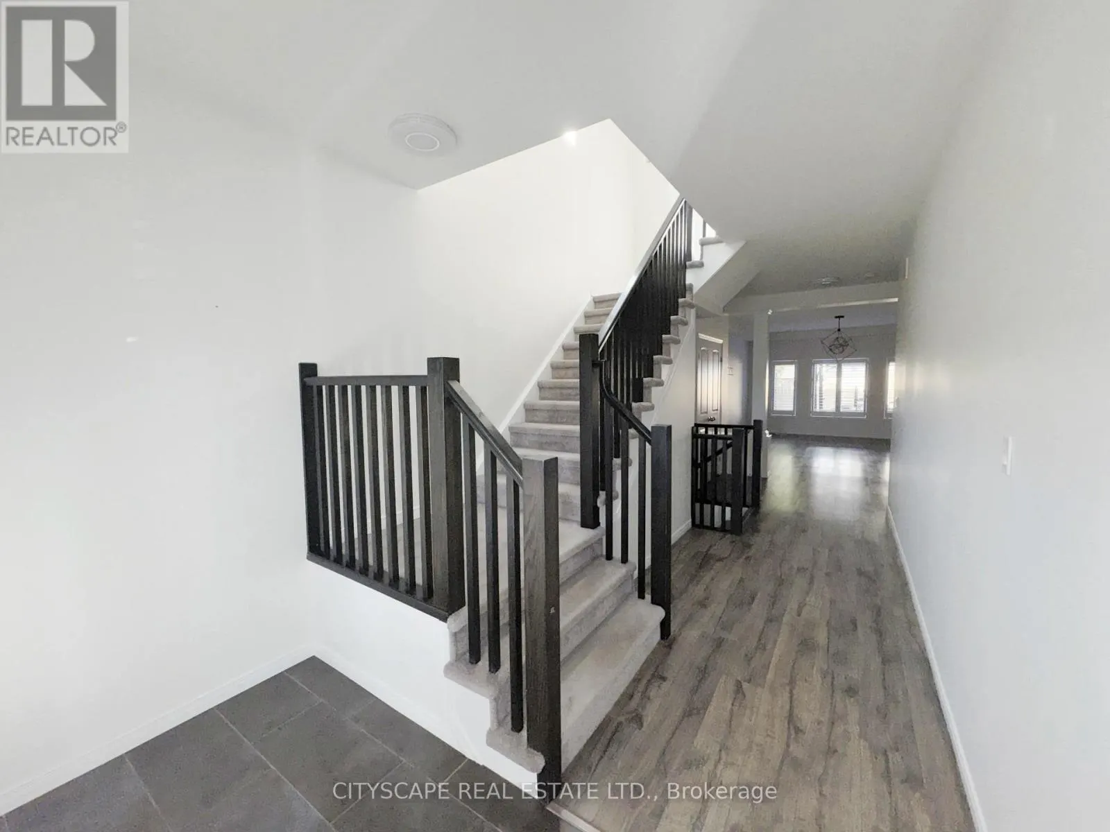 541 SUNDEW DRIVE