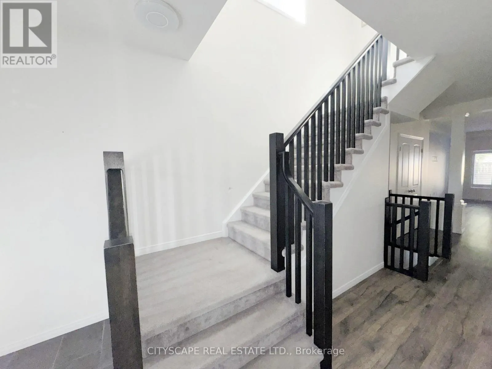 541 SUNDEW DRIVE