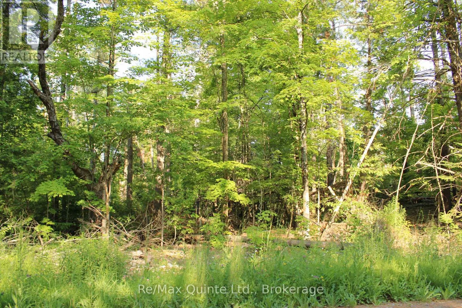 494 TWIN SISTER LAKES ROAD